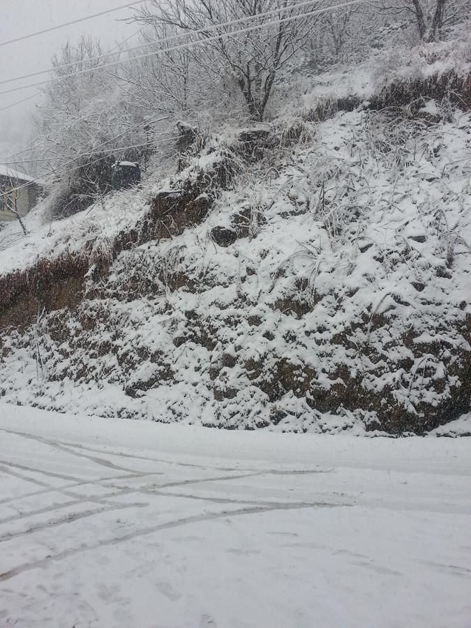 Holiday BnB Manali Dış mekan fotoğraf